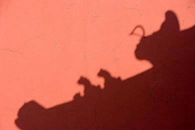 《怪物猎人：崛起》3款新amiibo原型检查完成 官方将第一时间分享实物